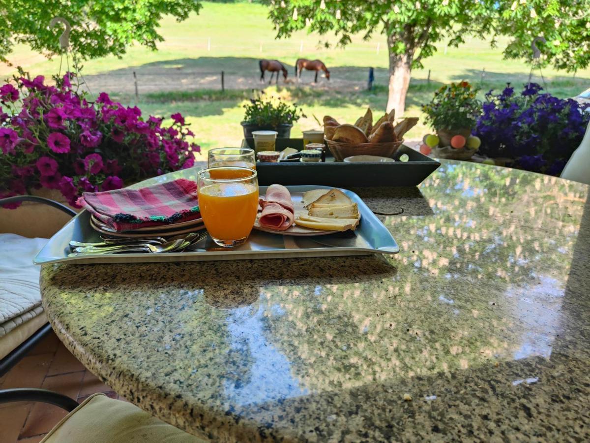 Domaine Bellavigne Gites Et Spa Forcalquier Dış mekan fotoğraf